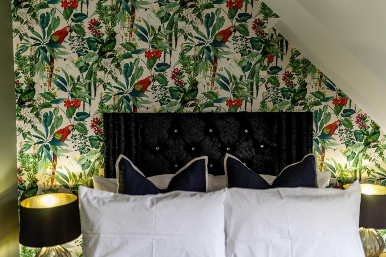 Comfy-Stays Deganwy ลันดิดโน ภายนอก รูปภาพ